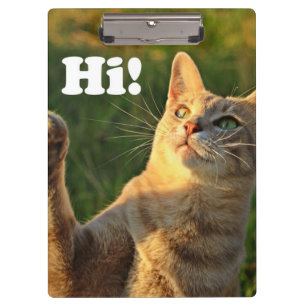 Ginger Cat Saying Hi! Clipboard
