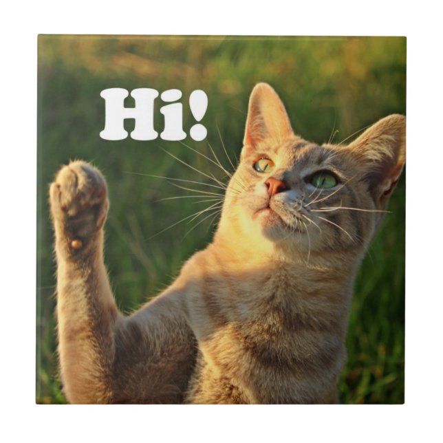 Ginger Cat Saying Hi! Tile (Front)