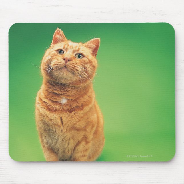 Ginger cat sitting, looking upwards mouse pad (Front)
