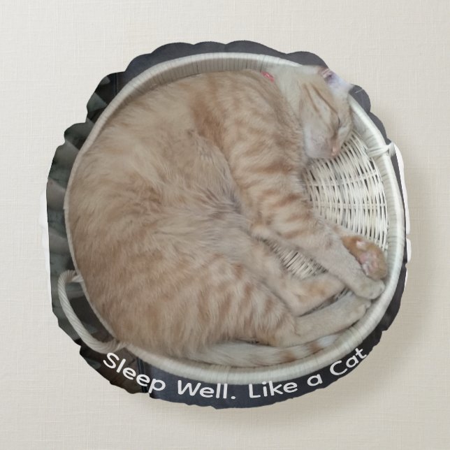 Ginger Cat Sleeping Photo Round  Pillow (Front)