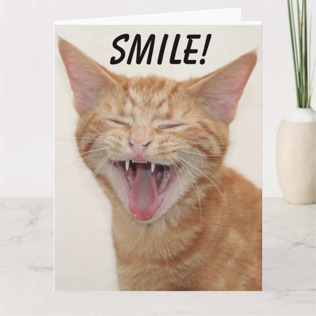 GINGER CAT SMILING THINKING OF YOU Greeting Cards (Front)