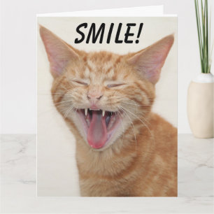 GINGER CAT SOURIRE HEUREUSES Cartes de voeux d'ann