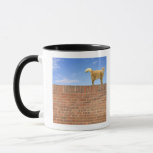 Ginger Cat Standing on Brick Wall Mug