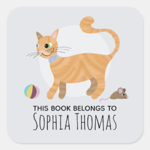 Ginger Cat This Book Belongs Name Kids Bookplate Square Sticker