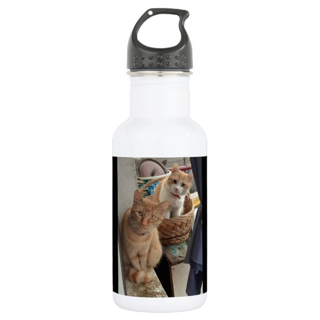 ginger cat water bottles (Front)