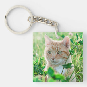 Ginger Cat with Green Eyes in Grass Keychain