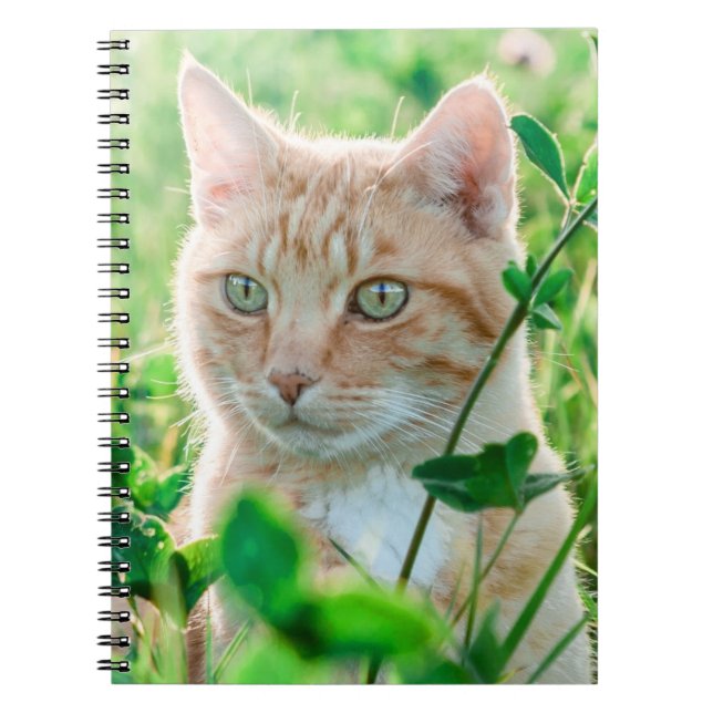 Ginger Cat with Green Eyes in Grass Notebook (Front)