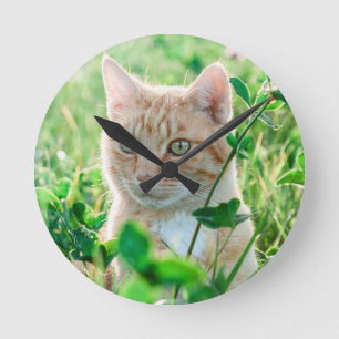 Ginger Cat with Green Eyes in Grass Round Clock