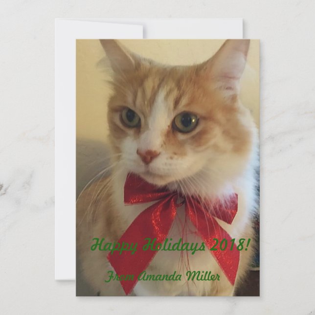 Ginger Cat with Red Ribbon Christmas Holiday Card (Front)