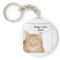 Ginger Cats Rule!
