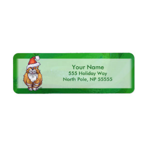 Ginger Chat Noël Sur Vert