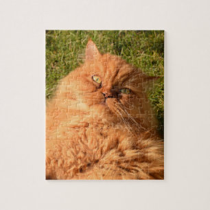 GINGER CHAT PERSIAN JIGSAW Puzzle