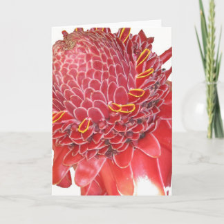 Ginger flower card