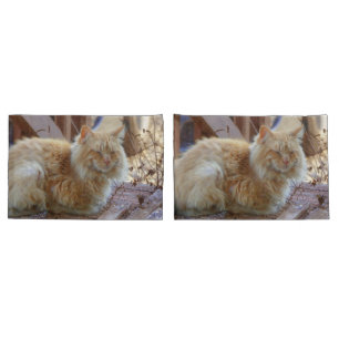 Ginger George Pillowcase