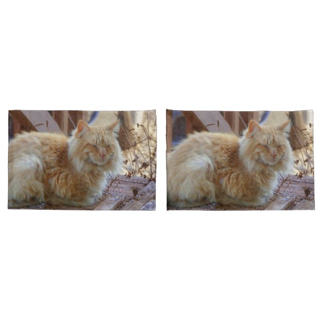 Ginger George Pillowcase (Back-Set)