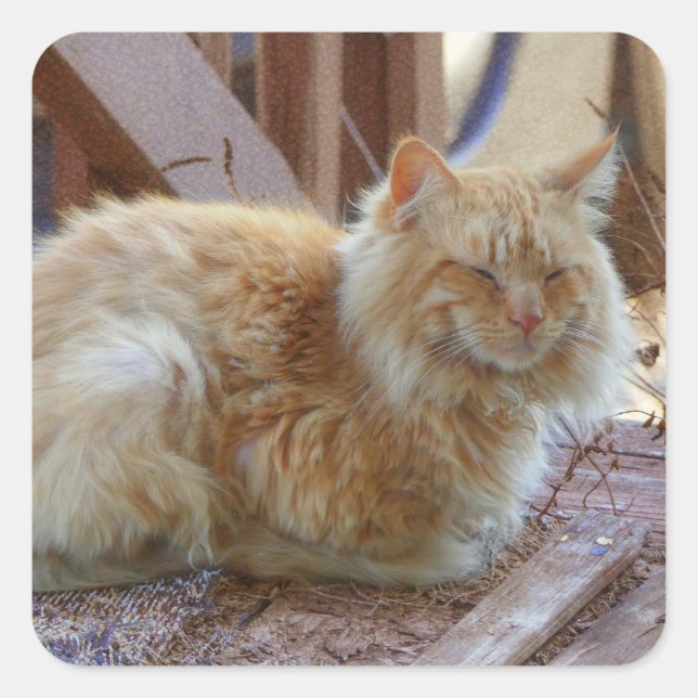 Ginger George Square Sticker (Front)