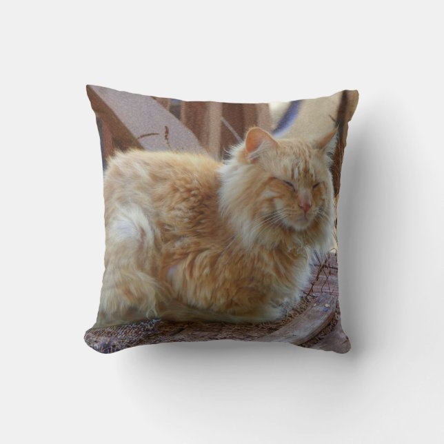 Ginger George  Throw Pillow (Front)