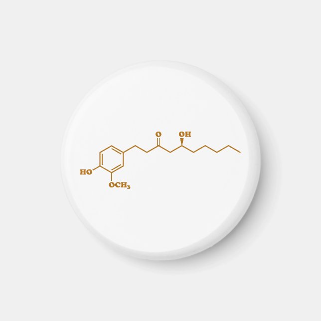 Ginger Gingerol Molecule Chemical Formula Magnet (Front)