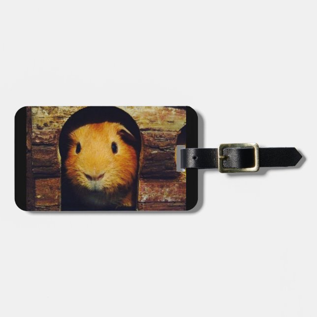 Ginger Guinea Pig Gifts Luggage Tag (Front Horizontal)