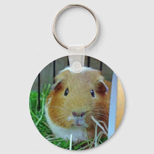 ginger guinea pig keychain (Front)
