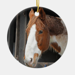 Ginger Horse on Farm Just a Girl who Loves Horses Ceramic Ornament