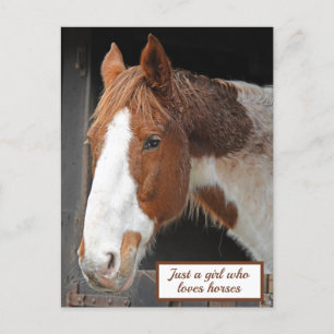Ginger Horse on Farm Just a Girl who Loves Horses Postcard