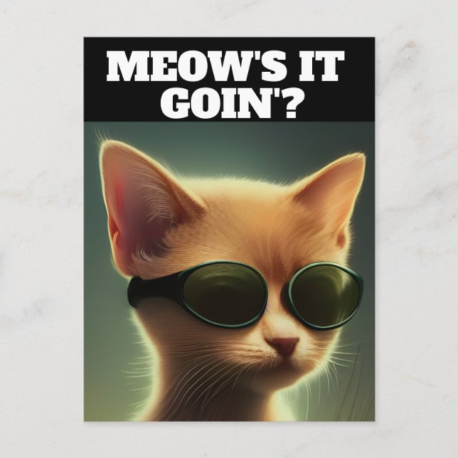 GINGER KITTEN CAT ART SUNGLASSES HELLO Postcards (Front)