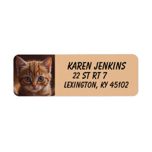 GINGER KITTEN CAT CUSTOM Return Address Labels