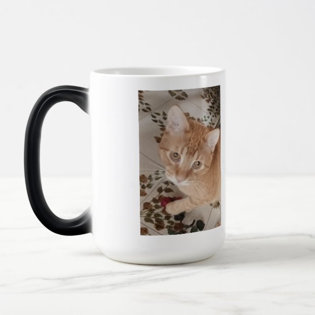 Ginger kitten photo, best therapist,  magic mug (Left)
