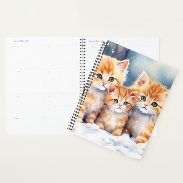 Ginger Kittens (Devant avec enveloppe)