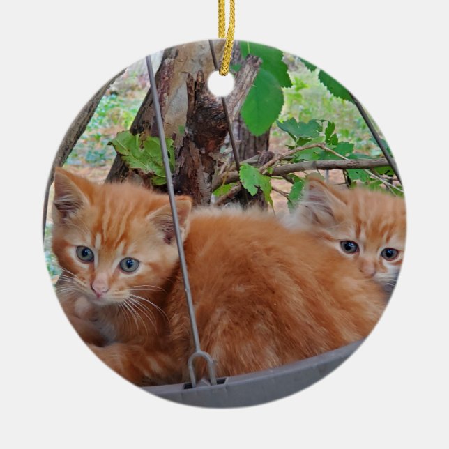 Ginger kittens ceramic ornament (Front)