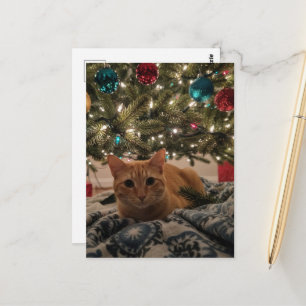 Ginger Kitty Under the Christmas Tree Postcard