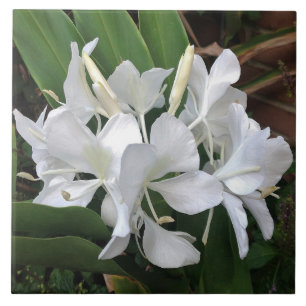 Ginger Lily Blossoms Tile