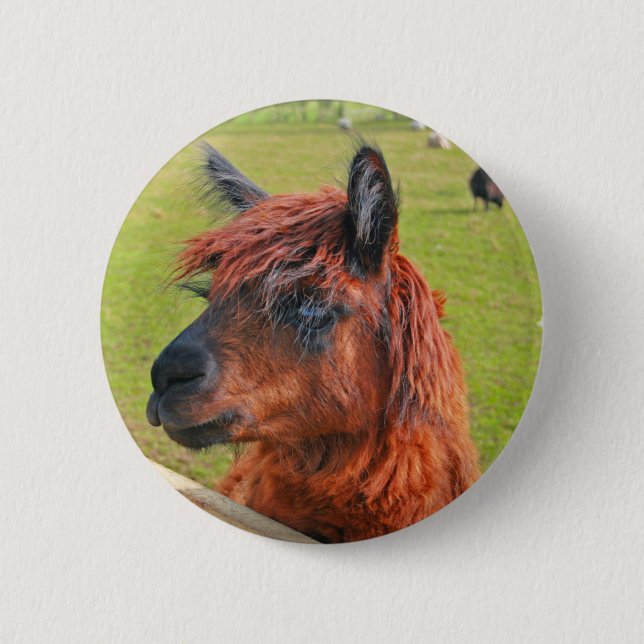 Ginger Llama 2 Inch Round Button (Front)