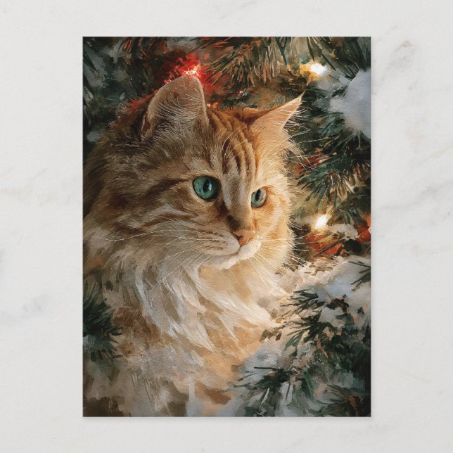 Ginger Maine Coon Christmas Postcard (Front)