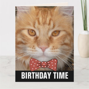 GINGER RED CAT bowtie BIRTHDAY CARDS