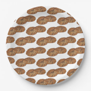 Ginger Snaps Gingersnap Biscuit Ginger Nut Cookies Paper Plate