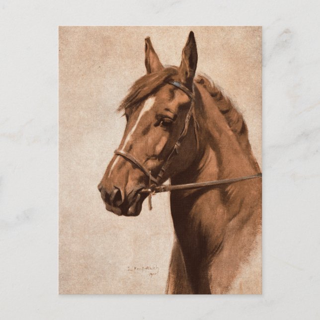 Ginger Sorrel Horse Black Beauty book Kemp-Welch Postcard (Front)