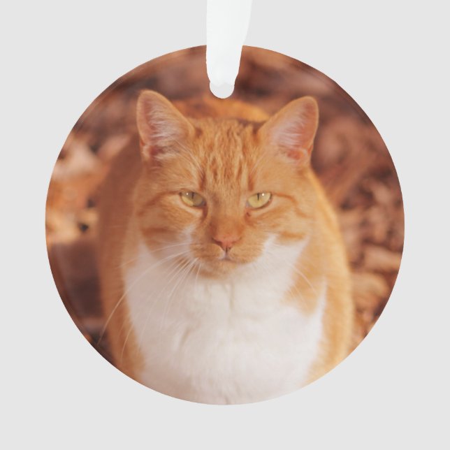 Ginger Tabby Cat Holiday Christmas Ornament (Front)