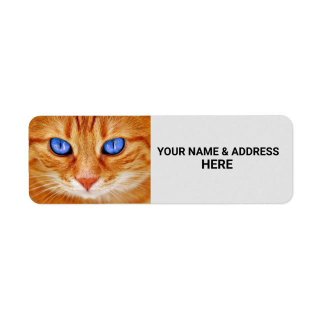 GINGER TABBY CAT RETURN ADDRESS LABELS (Front)