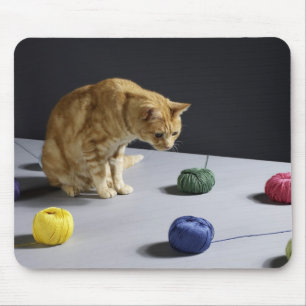 Ginger tabby cat sitting on table mouse pad