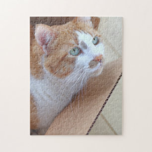 Ginger tabby in cardboard box jigsaw puzzle