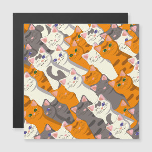 Ginger white black cat diagonal pattern