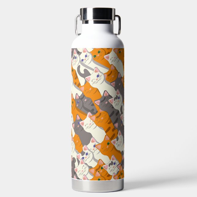 Ginger white black cat diagonal pattern water bottle (Front)