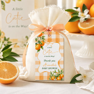 Gingham A Little Cutie Orange Baby Shower Gift Tags