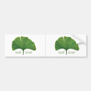 Gingko Leaf Bumper Sticker