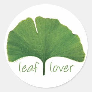 Gingko Leaf Classic Round Sticker