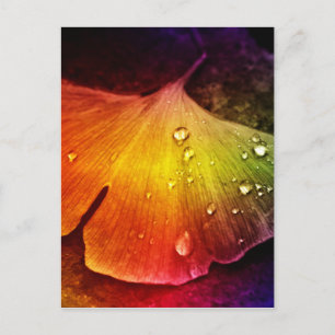 Gingko leaf multicolored by Tutti Postcard