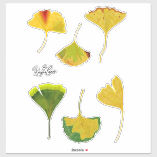 Gingko Leaf Stickers