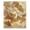 Gingko